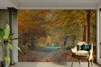 A serene fall path wall mural for a tranquil room.

