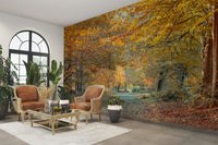 A beautiful autumn forest wallpaper mural with golden leaves.

