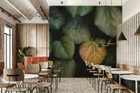 A beautiful modern art wall mural of bare branches.

