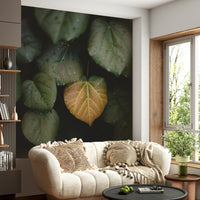 A graceful subtle leaf wall mural in cool, natural tones.

