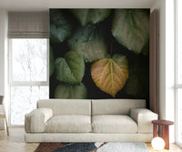 A classic winter scene wallpaper for walls.

