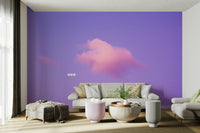 A peaceful open sky mural on decorative wallpaper.

