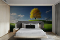 A calming autumn forest wallpaper mural that defines a space.

