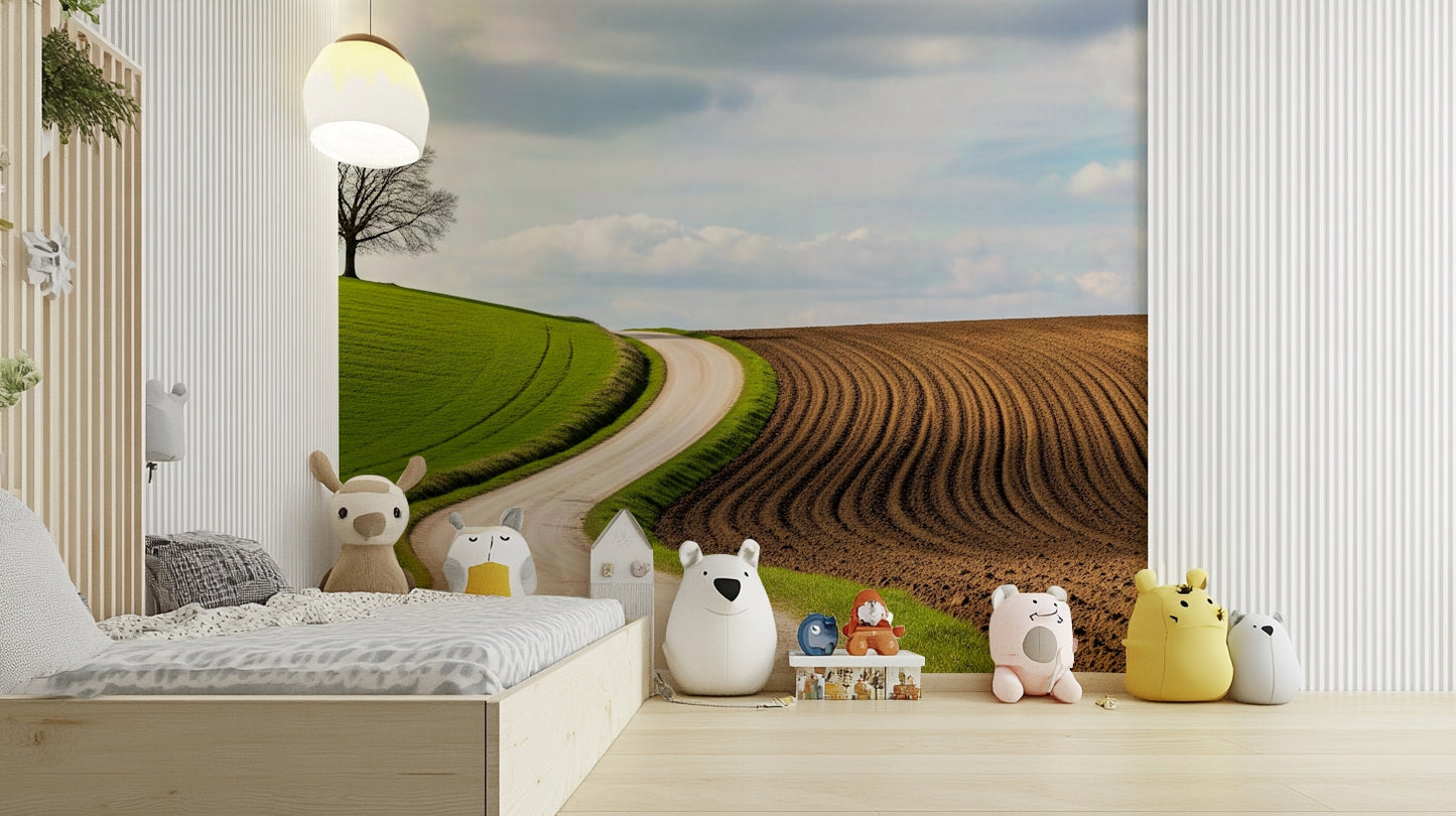 A contemplative curved path wallpaper mural for a feature wall.

