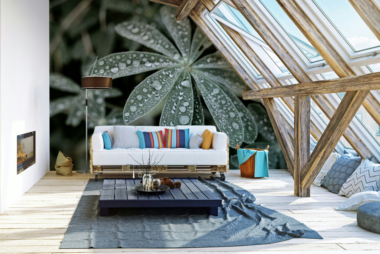 A beautiful serene floral wallpaper mural of blue lupine.

