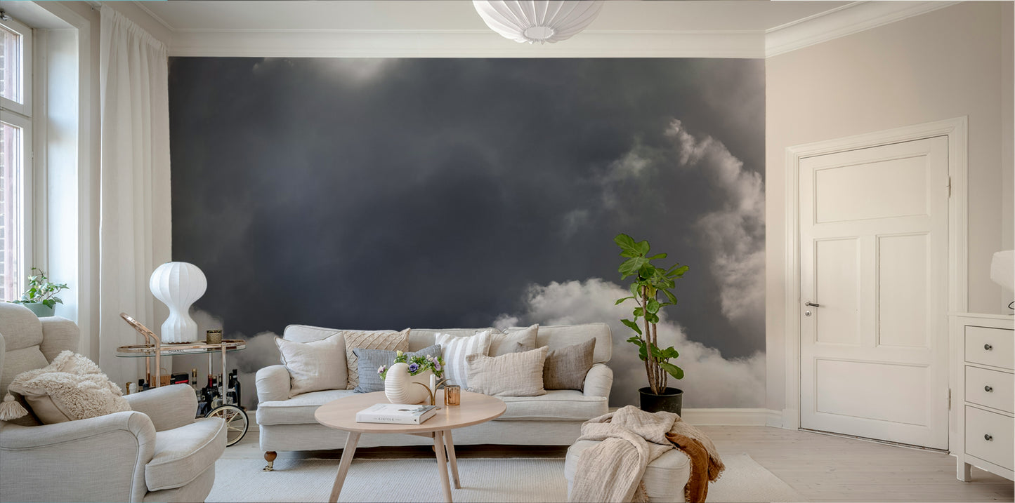 A beautiful serene sky wallpaper mural with soft clouds.

