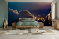 A graceful subtle sky wall mural in warm, natural tones.

