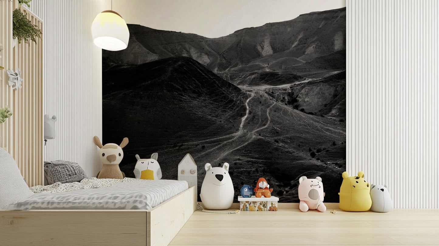 Mountains of the Judean Desert 5 Wall Mural