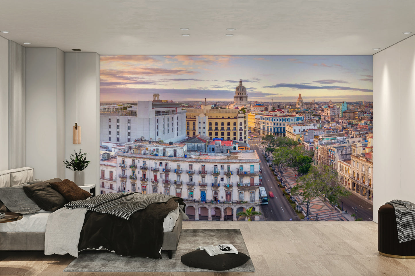 Havana’s Aerial Beauty Wall Mural