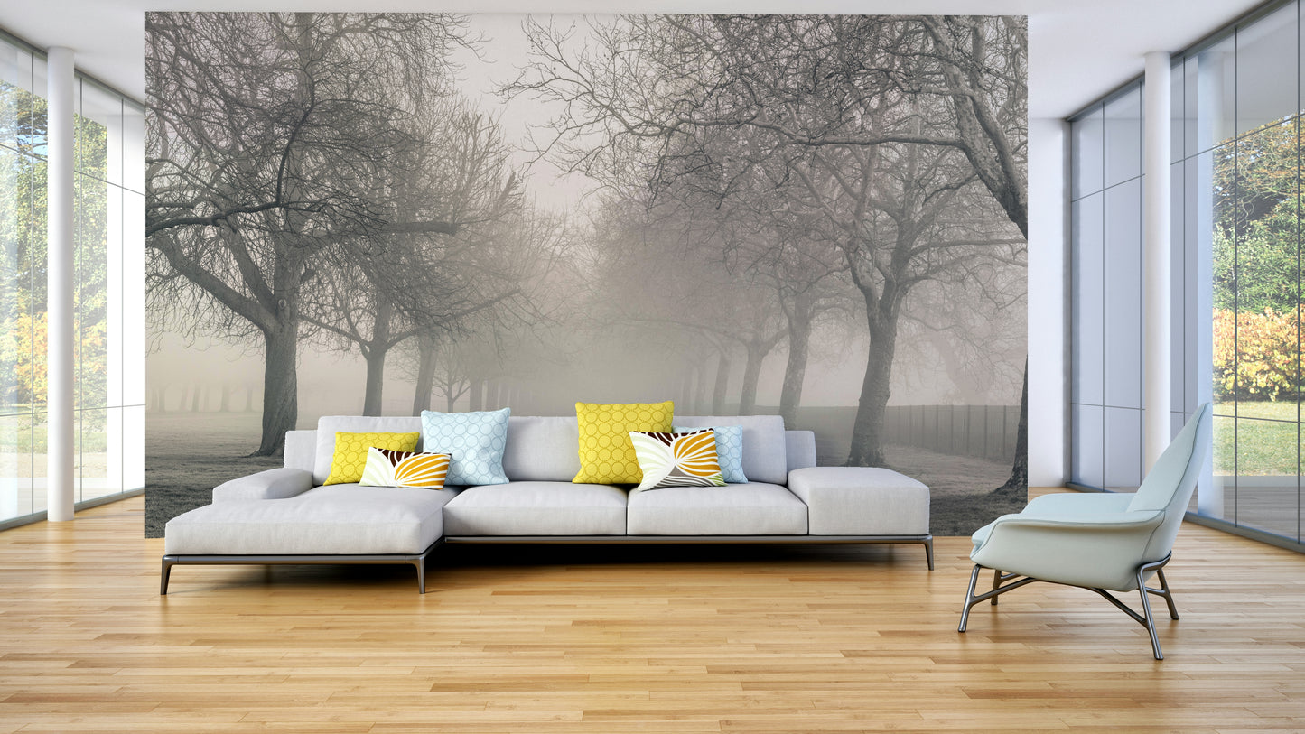 Foggy Forest Lane Wall Mural