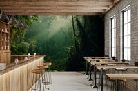 A contemplative fog-covered forest wallpaper mural for a feature wall.

