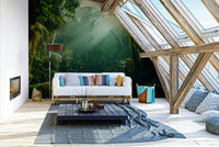 A beautiful wide-angle wall mural of a misty jungle.

