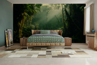 A classic cloud forest wallpaper for walls.

