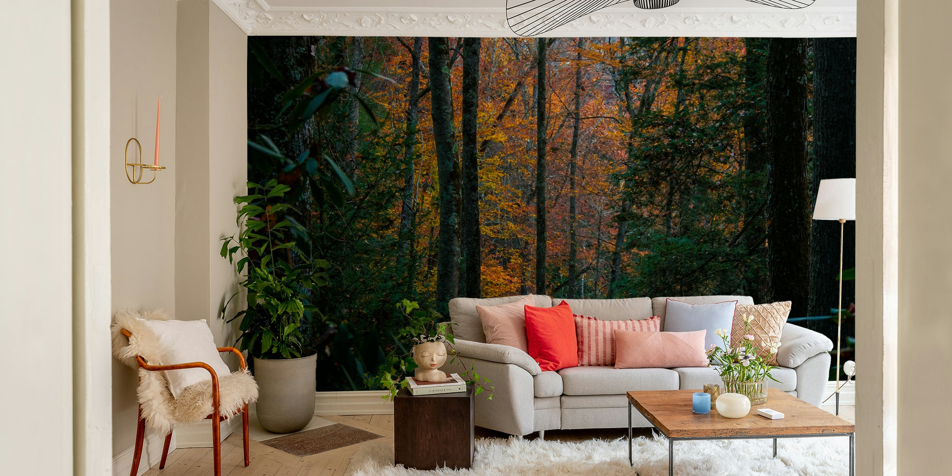 A serene woodland scene wall mural for your decor.

