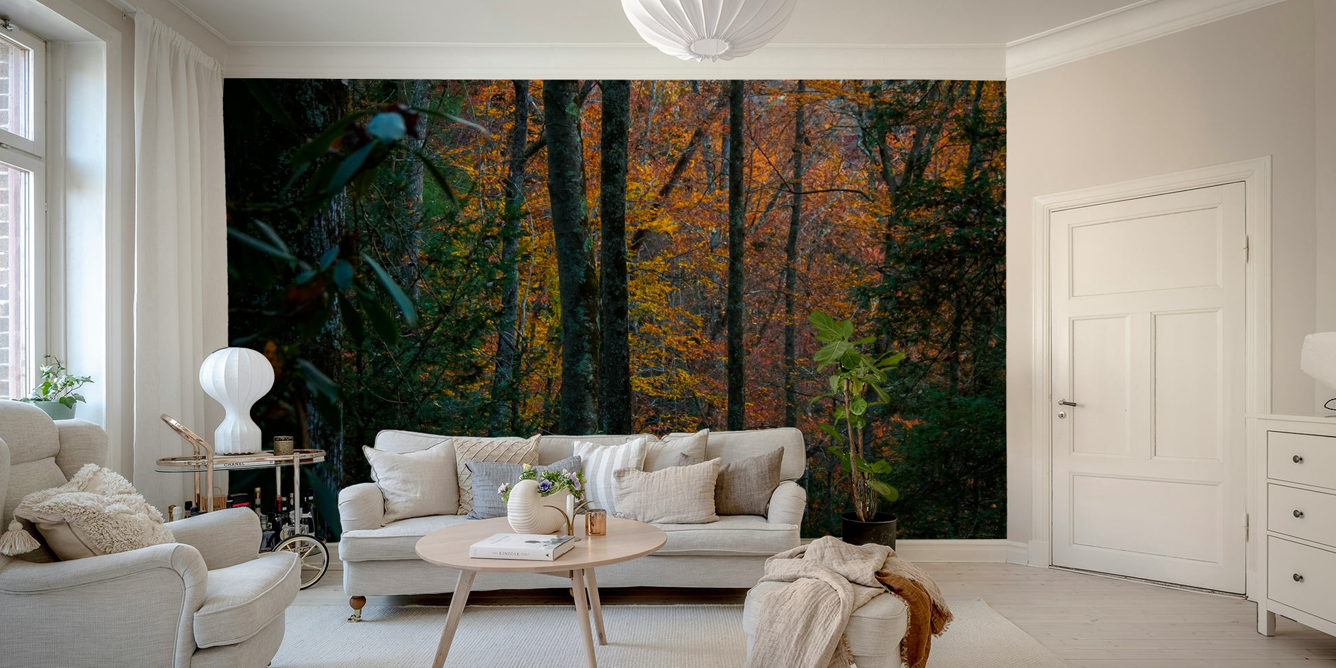 A contemplative forest path wallpaper mural for a feature wall.

