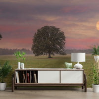 A classic landscape wallpaper for walls with a moon theme.

