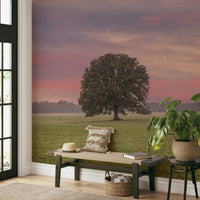 A beautiful calm fields wallpaper mural with a full moon.

