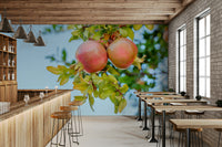 A beautiful modern art wall mural of pomegranate fruit.

