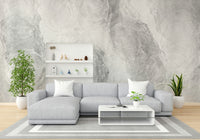 A serene ghostly texture wall mural for your decor.

