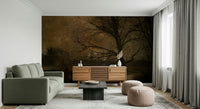 A calming serene forest wallpaper mural that defines a space.