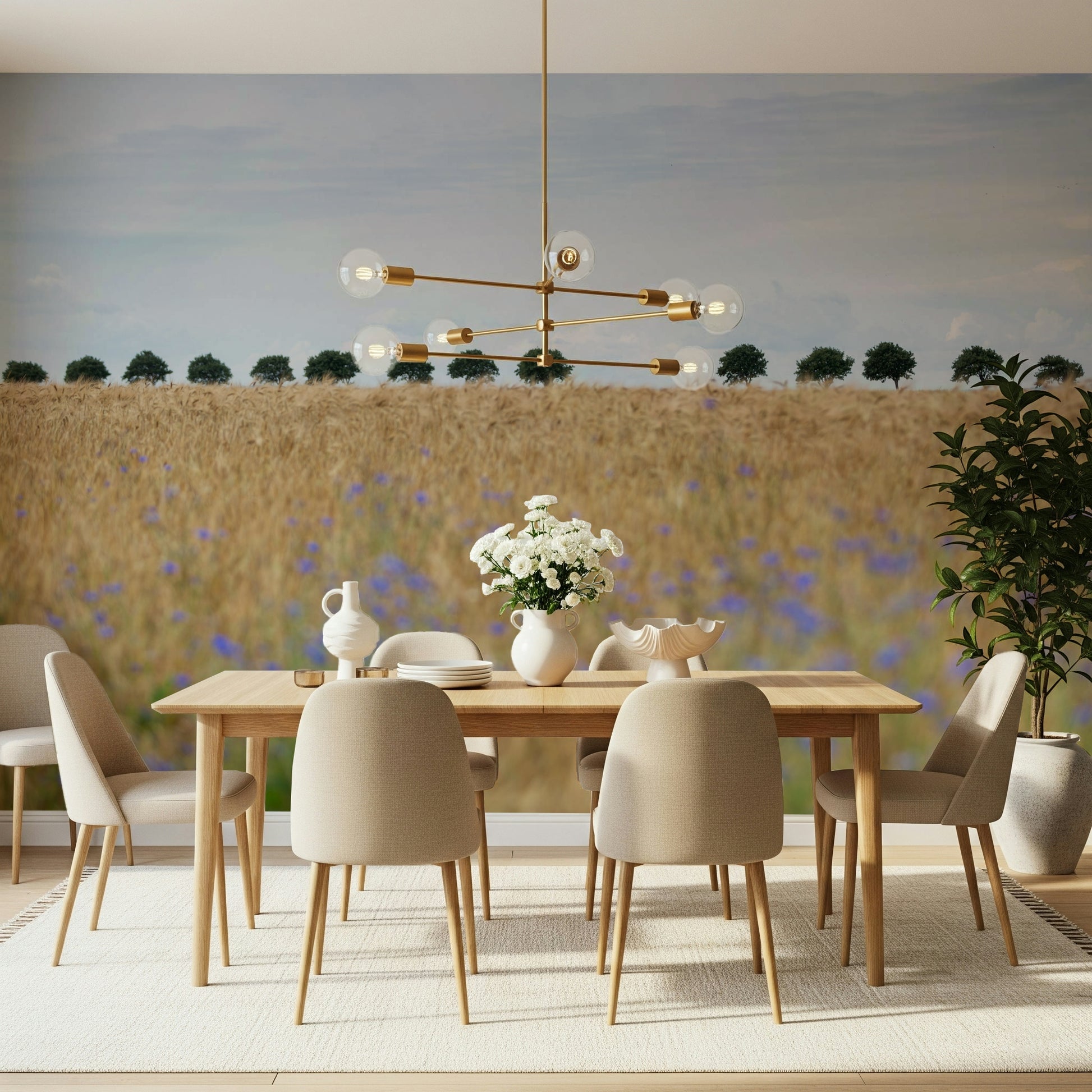 A beautiful golden field wallpaper mural with sunlit grass.