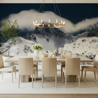 A contemplative dramatic vista wallpaper mural for a feature wall.