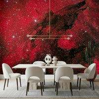 A contemplative intense light wallpaper mural for a feature wall.