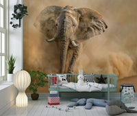 A calming abstract design wallpaper mural that defines a space.