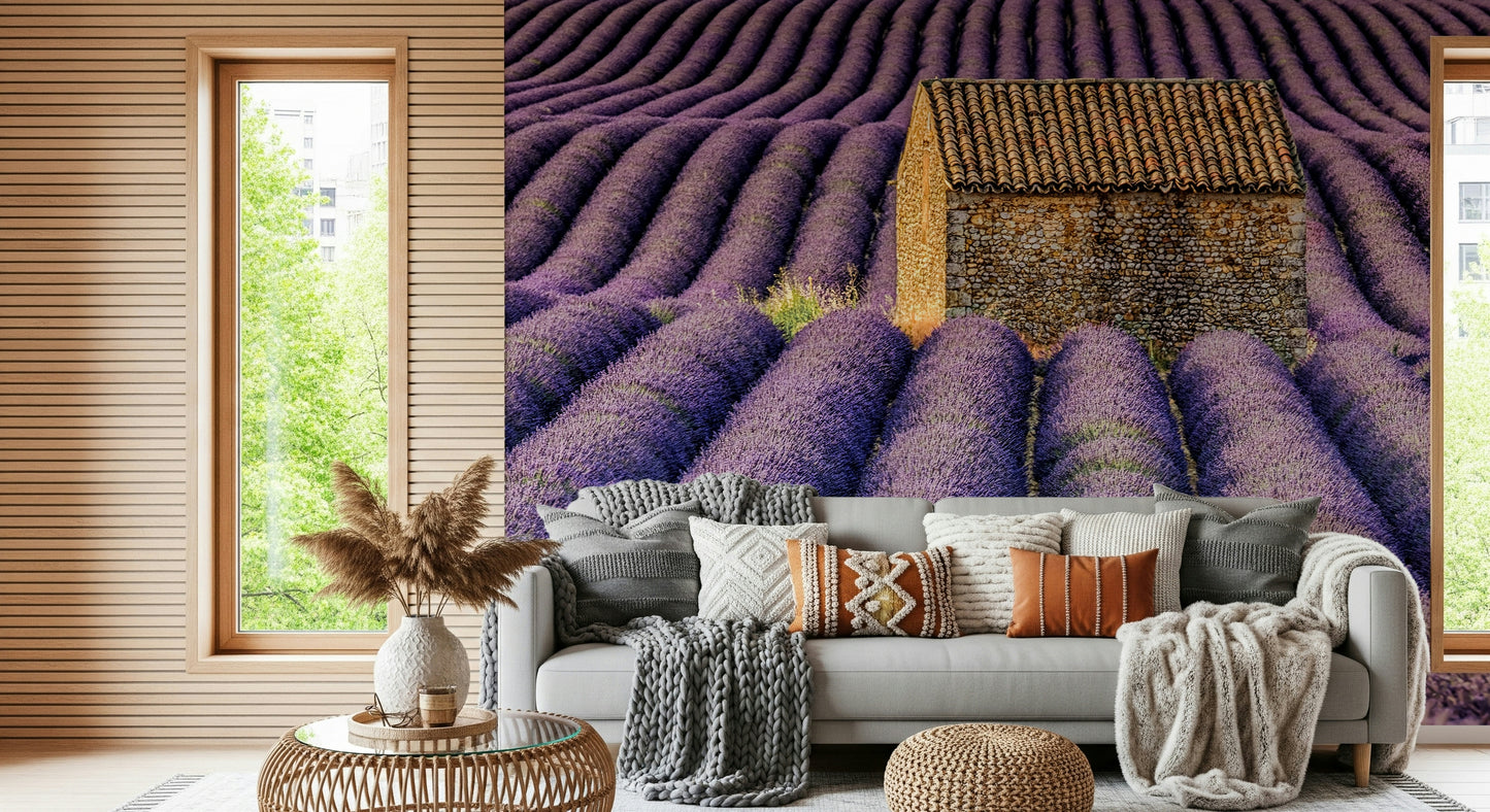 A beautiful serene lavender field wallpaper mural for a modern home.