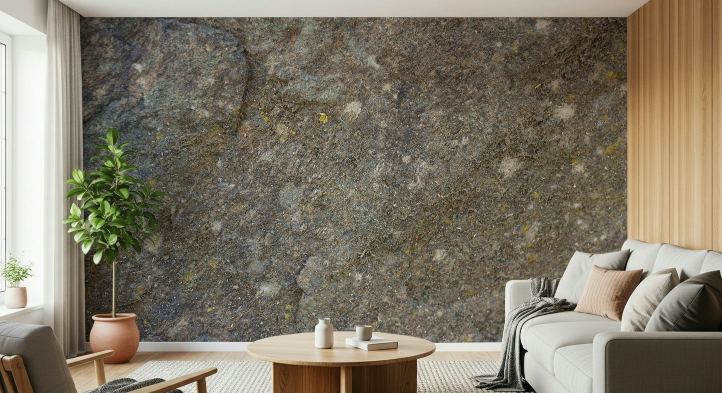 Natural textured rock surface wallpaper mural.