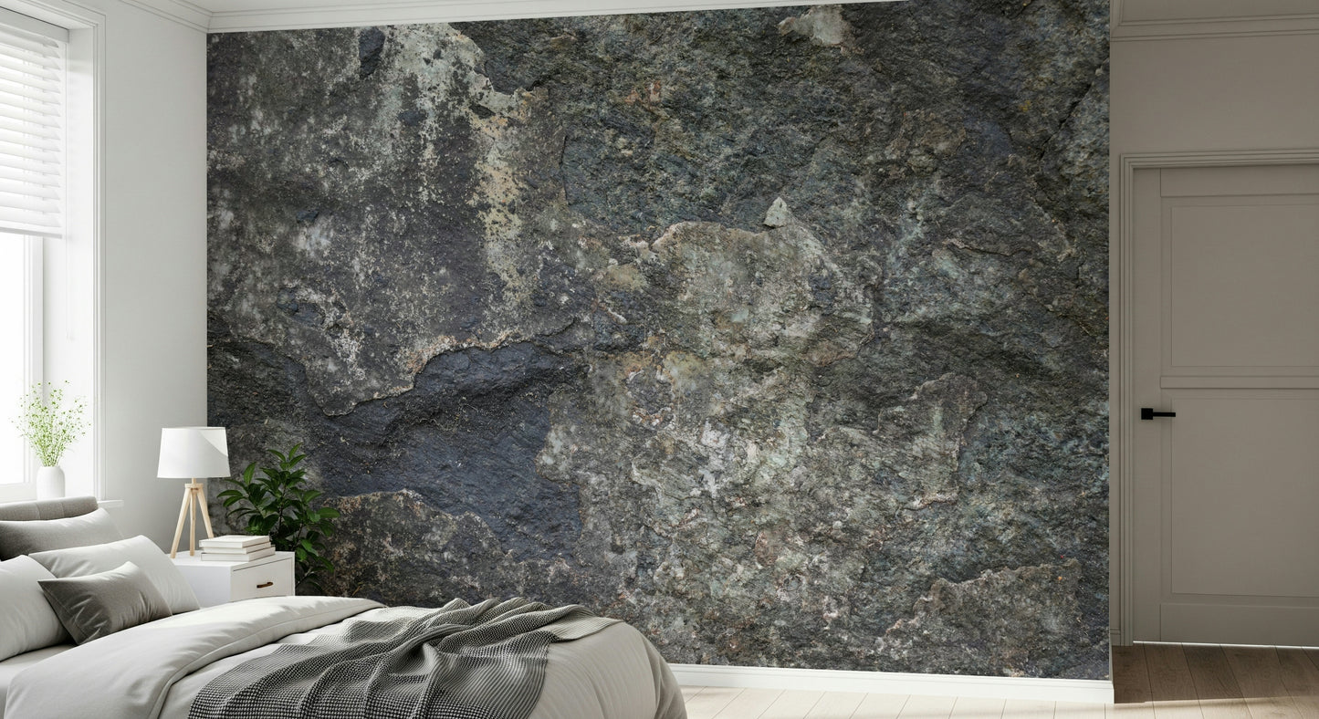 Nature's Rock Wall Mural