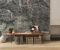 Rocky surface wallpaper in a contemporary hallway.