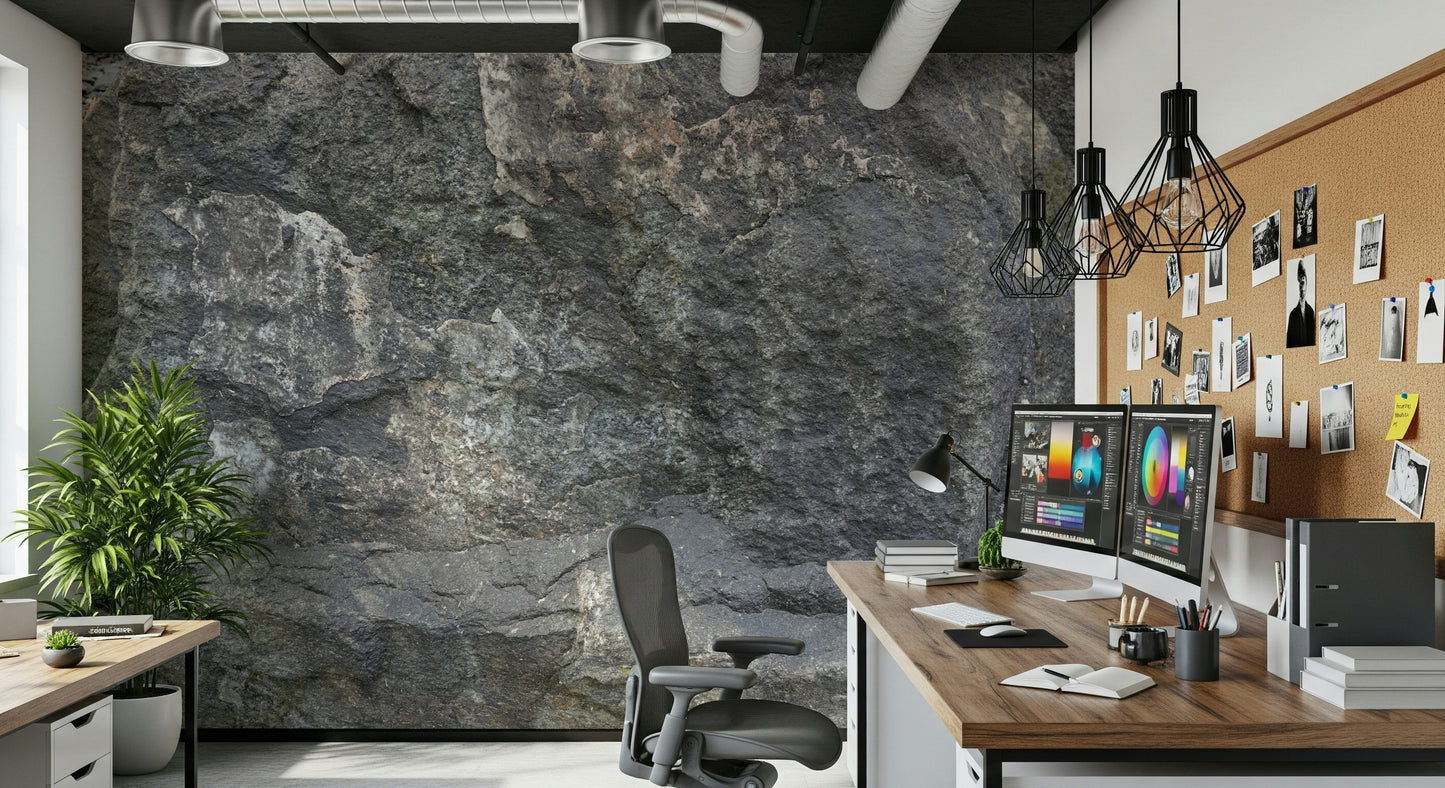 Rocky surface mural in a minimalist space.