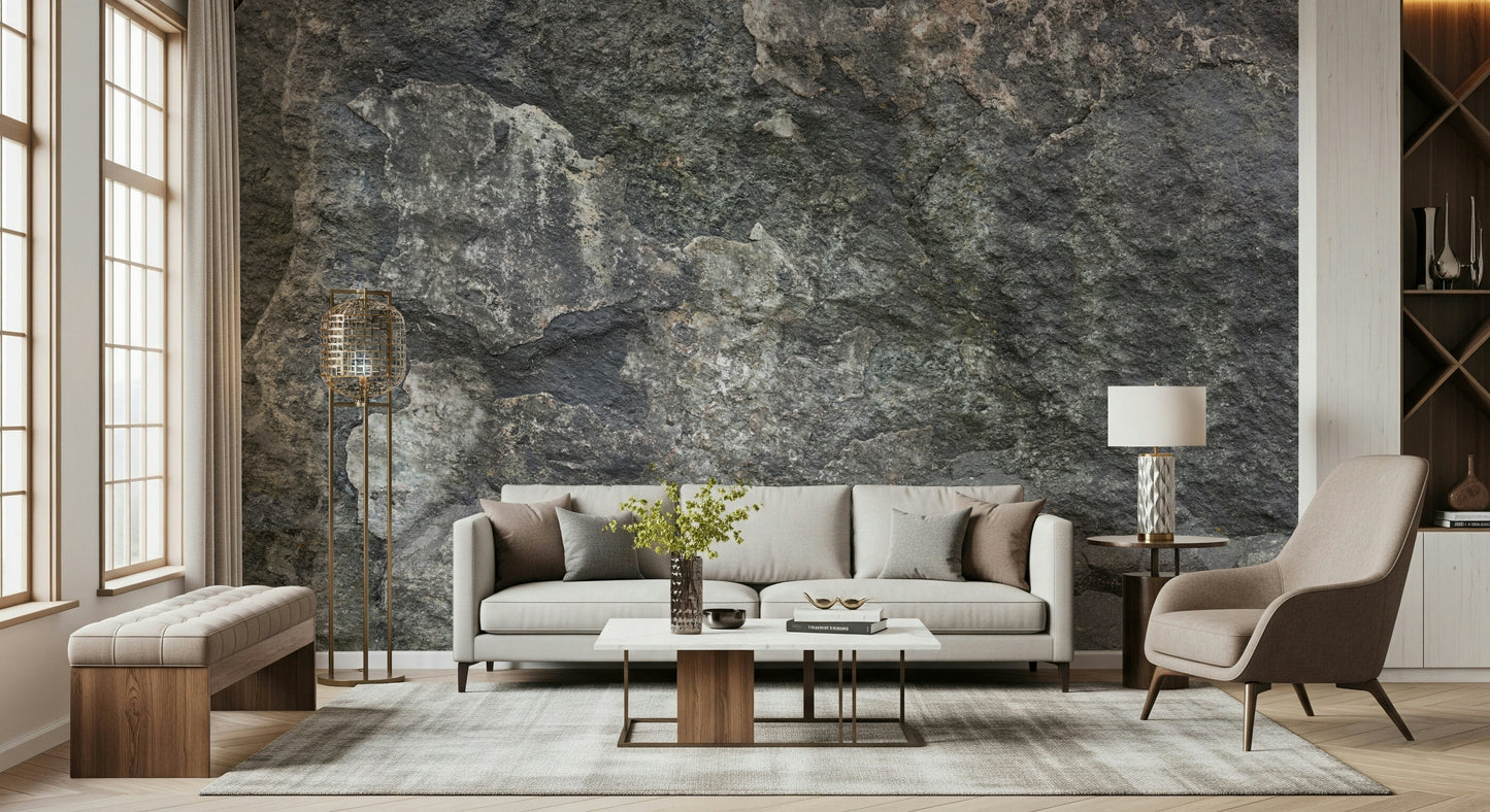 Rocky surface wall mural in a modern living room.