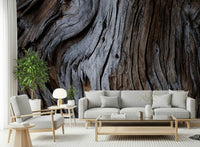 The weathered wood pattern of the Worn Timber wallpaper for walls in detail.