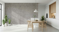 Concrete Canvas Wall Mural minimalist living room accent wall.