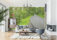 Countryside scenic mural wallpaper in a quiet room.