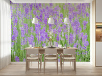 Serene botanical Lavender Field Dream Wall Mural wall covering.