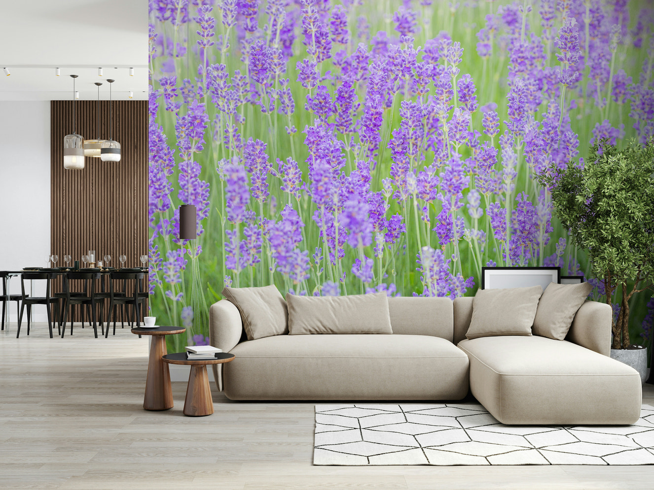 Vibrant purple Lavender Field Dream Wall Mural flowers.