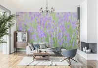 Dense purple Lavender Field Dream Wall Mural bloom photo.