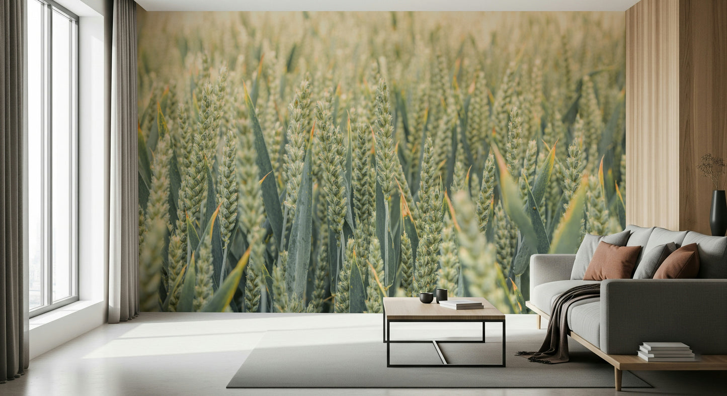 Airy agricultural Whispering Wheat Fields Wall Mural landscape.