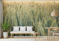 Panoramic wheat Whispering Wheat Fields Wall Mural close up.