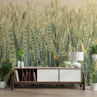 Natural organic Whispering Wheat Fields Wall Mural wall covering.