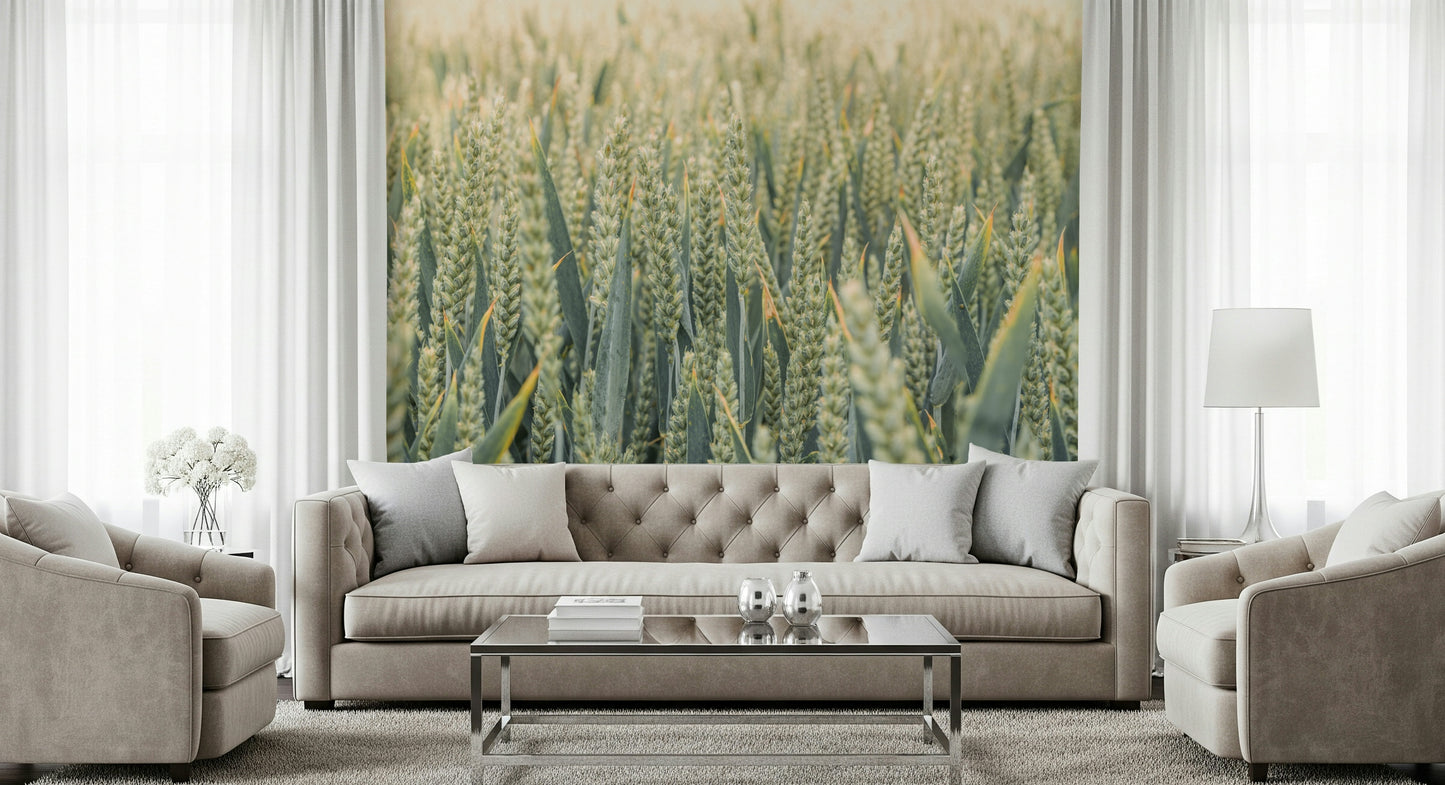Calming botanical Whispering Wheat Fields Wall Mural room feature.