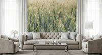 Calming botanical Whispering Wheat Fields Wall Mural room feature.