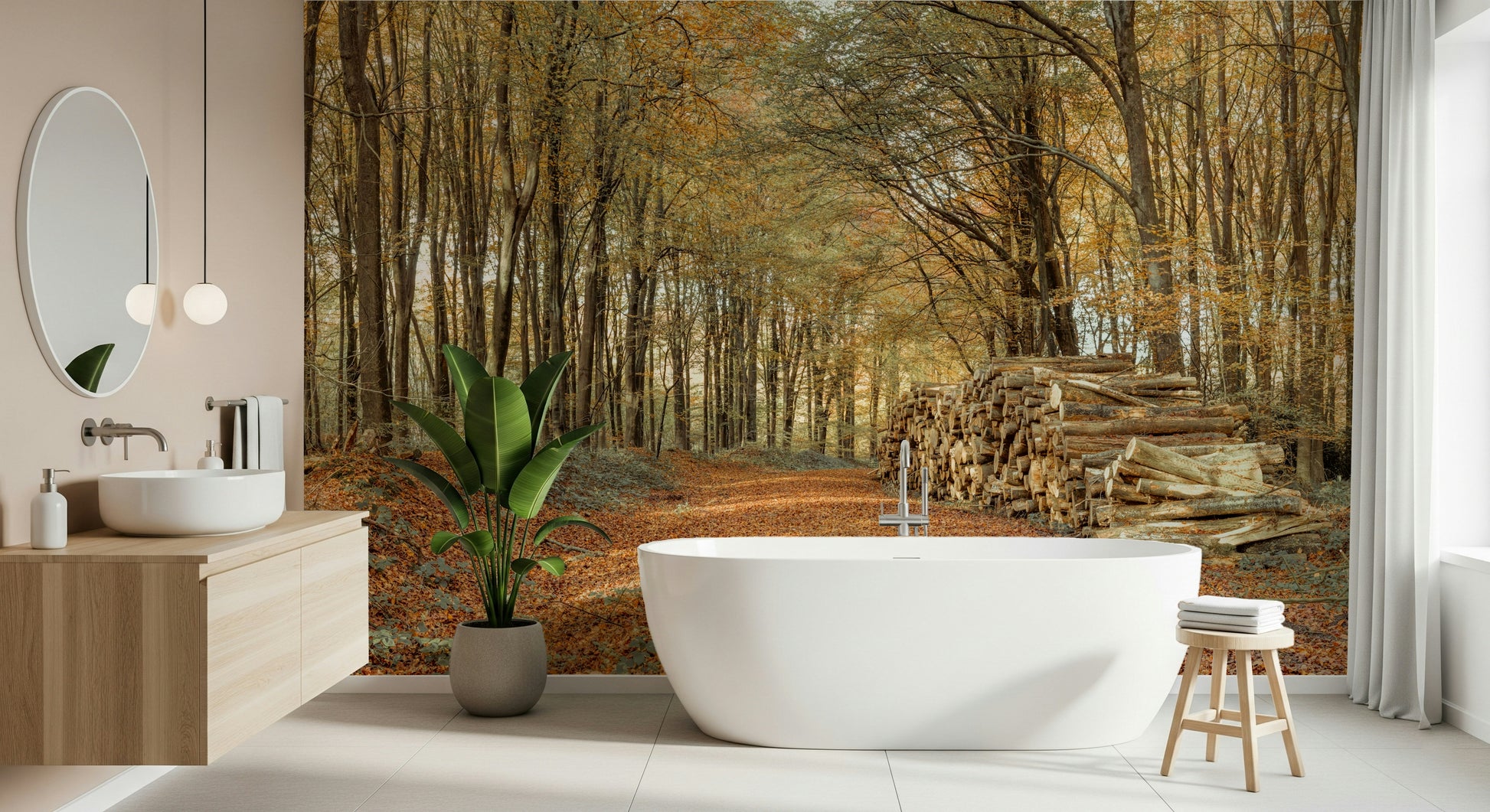 Realistic fall Autumn Forest Scene Wall Mural scenery print.