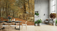 Panoramic forest Autumn Forest Scene Wall Mural view detail.