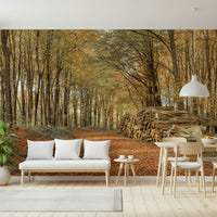 Quiet forest Autumn Forest Scene Wall Mural wide photo.
