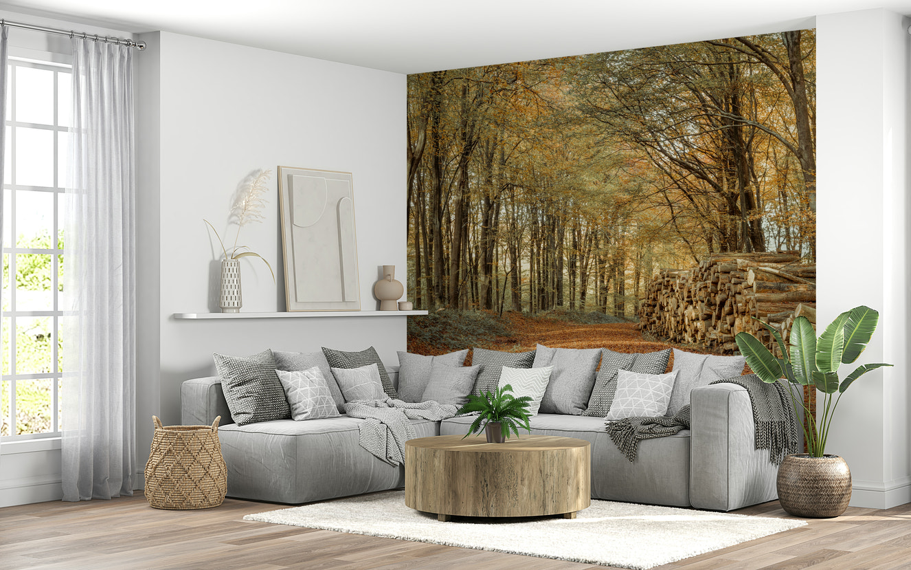 Autumn Forest Scene Wall Mural