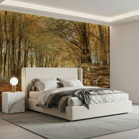 Deep woodland Autumn Forest Scene Wall Mural path.